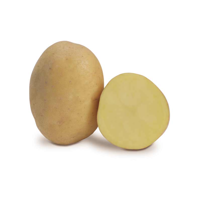 Krompir Jelly