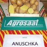 Sorta krompirja Anuschka