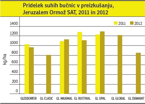 buce graf 4