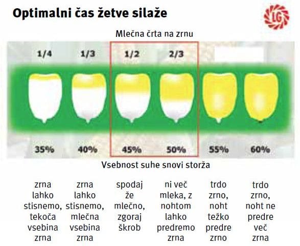 termin spravila koruze 1