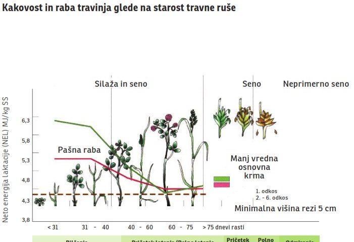 Kakovost in raba travinja glede na starost travne ruše