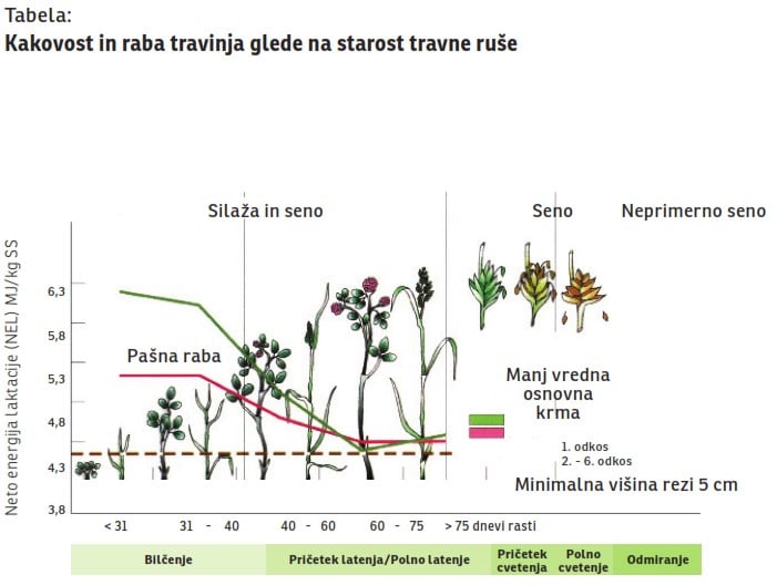 Kakovost in raba travinja glede na starost travne ruše