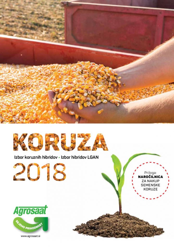 Koruza 2018