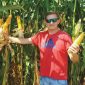 agrosaat izkusnje pridelovalca klemen kaucic