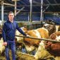 agrosaat izkusnje rejca kmetija murko