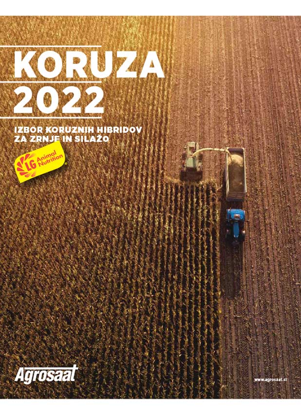 Koruza 2022