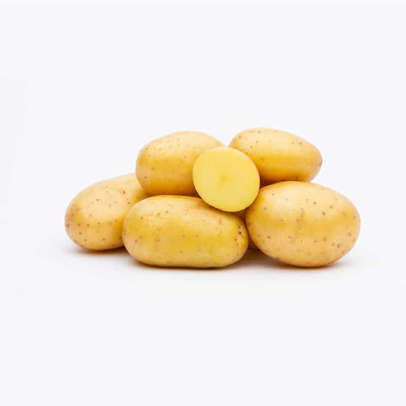 agrosaat-krompir-corinna