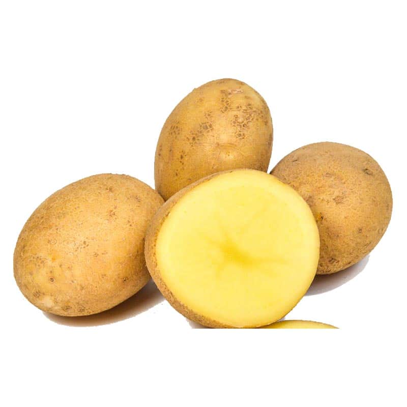 Krompir KIS Mangart