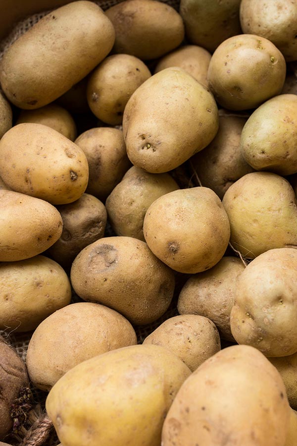 Agrossat - poskusi - krompir