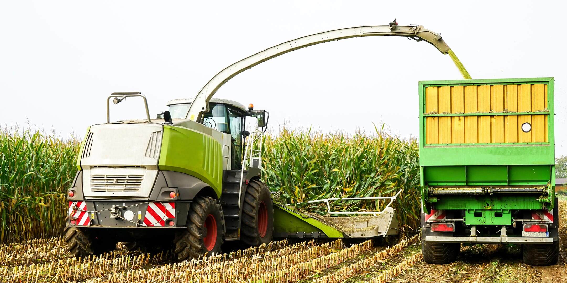 Žetev koruze za silažo (formular Agrility) - slider