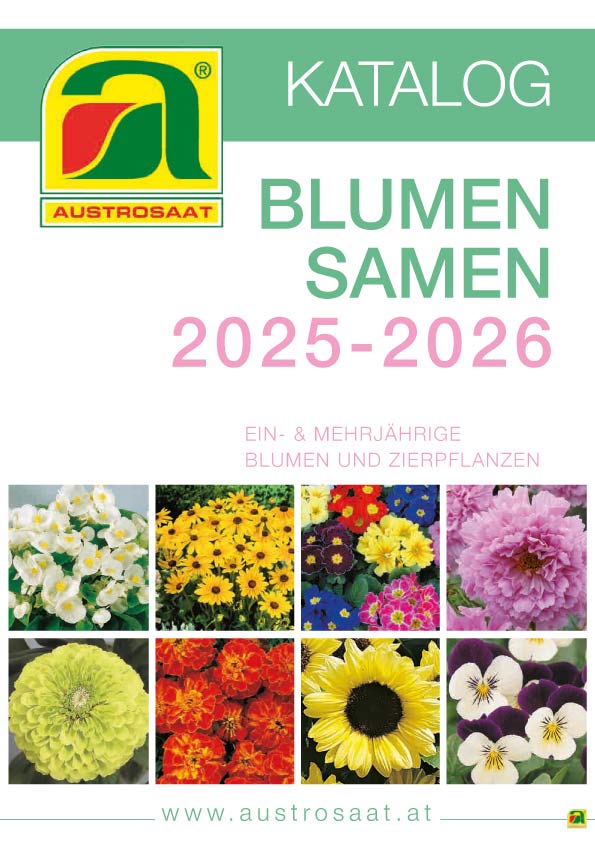 Katalog Cvetlice 2025-2026